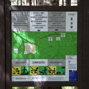 Foto 2 di Biotopo Torbiera Scichizza - Tarvisio