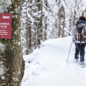 Foto 2 di Schneeschuhwanderungen durch das Almgebiet (Schneeschuhwandern) - Ugovizza