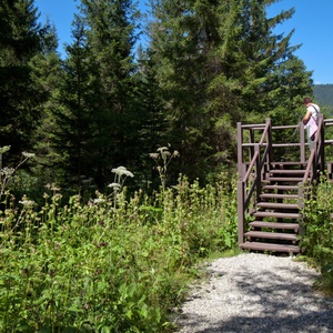Foto 5 di Biotopo Torbiera Scichizza - Tarvisio