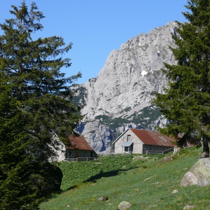 Foto 2 di Visita alle malghe del Passo Pramollo - Pontebba