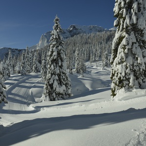 Foto 2 di Sci di fondo Pramollo - Pontebba