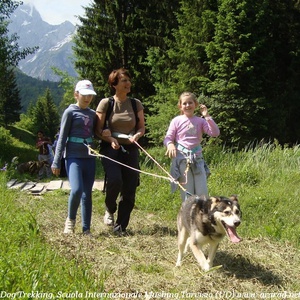 Foto 2 di Mushing sleddog a Fusine - Tarvisio