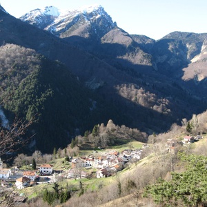 Foto 2 di  Tiere Viere AgriKulturAlpina
