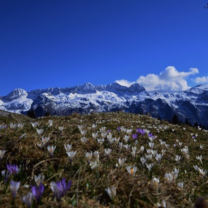 foto di Giro degli Altopiani del Montasio - Sella Nevea