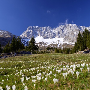 Foto 2 di Giro delle malghe del Montasio - Chiusaforte