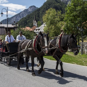 Foto 2 di Equitazione Prati Oitzinger - Valbruna
