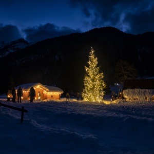Foto 2 di ADVENT PUR 2021