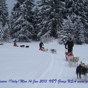 Foto 3 di Mushing sleddog a Fusine - Tarvisio