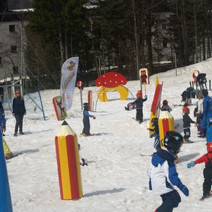 Foto 2 di Scuola di sci Sella Nevea