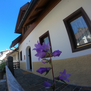 Foto 2 di Valbruna48 - Valbruna