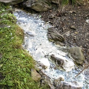 Foto 3 di Acqua solforosa a Bagni di Lusnizza - Malborghetto