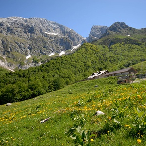 Foto 2 di Malga Coot - Resia