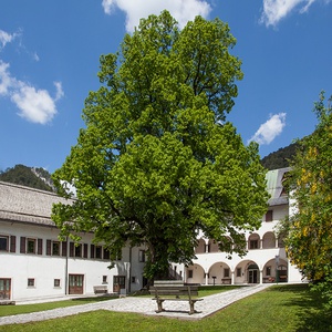 Foto 2 di Museo Palazzo Veneziano a Malborghetto