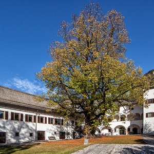 Foto 3 di Museo Palazzo Veneziano a Malborghetto