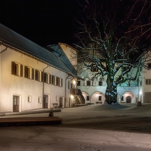 Foto 4 di Museo Palazzo Veneziano a Malborghetto