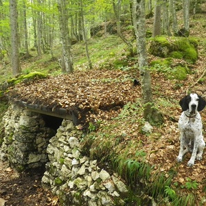 Foto 2 di Parco tematico “Abschnitt Saisera” in Val Saisera
