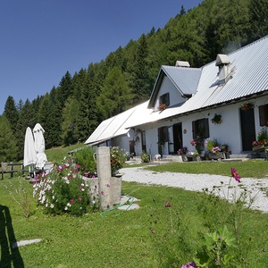 Foto 3 di Malga Poccet - Pontebba