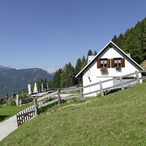 Foto 2 di Malga Poccet - Pontebba