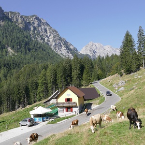 Foto 3 di Malga Tratten - Pontebba