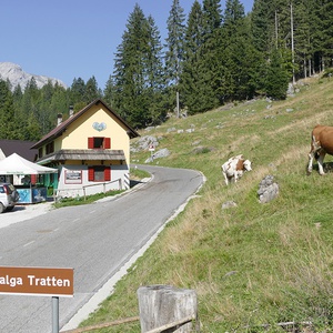 Foto 2 di Malga Tratten - Pontebba
