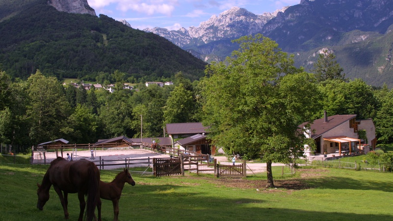 Equitazione e fattoria didattica - Moggio Udinese